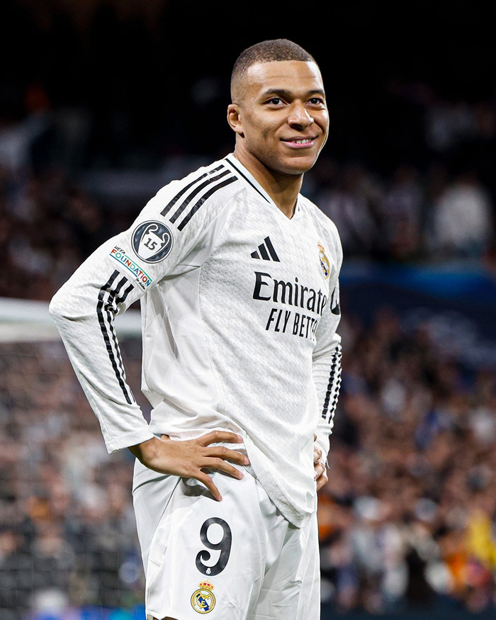 体系的适应 体系的适应